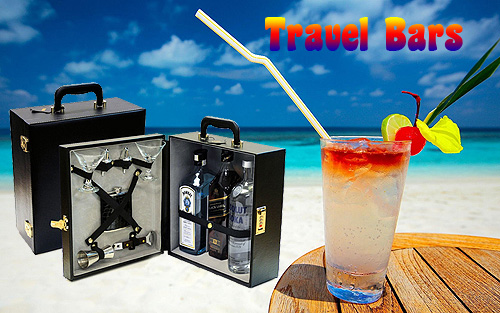 Travel Bar Case With Tools  Portable Liquor Traveling Set
